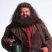 Rebeus Hagrid