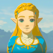 Princesa Zelda en The Legend of Zelda: Breath of the Wild y en Hyrule Warriors: Age of Calamity.