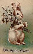 220px-Easter Bunny Postcard 1907.jpg
