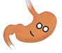Stomach.webp (23 kB) Estómago en HumanBuddy.