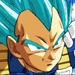 Vegeta3.2- DBS