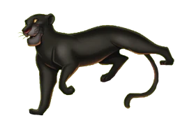 Bagheera12