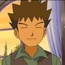 Brock pkmnesdd