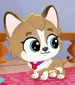Bertram Corgiwaddle (LPS AWOO)
