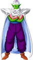 Piccolo Trans