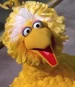 Big Bird