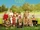 Moonrise Kingdom: Amor infantil