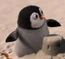 NiñoPinguino2 SU