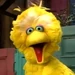 Big Bird (Tiempo de descansar)