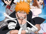 Bleach