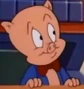 Porky en Tiny Toons.