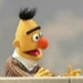 BERT53 -