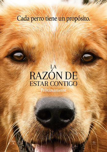 La-Razón-De-Estar-Contigo