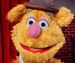 FozzieBearMuppetsNow