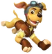 Dwayne (PAW Patrol)