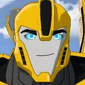 Bumblebee-TransformersRID