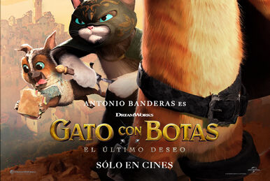 Botas cat adriana store
