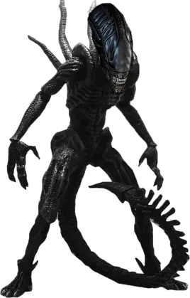 Alien-Xenomorfo