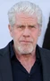 Voz recurrente de Ron Perlman.