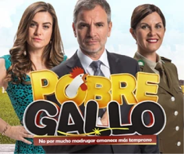 Pobre Gallo