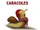Caracoles