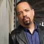 Detective Odafin "Fin" Tutuola (1ª voz) (Ice-T) en La ley y el orden: Unidad de víctimas especiales.