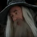 TheStarvingGamesGandalf (1)