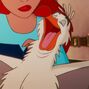 Scuttle también en Había una vez un estudio.