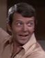 Mike Brady (Robert Reed) en La tribu Brady.