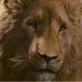 Aslan-Narnia2
