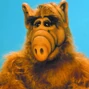 ALF en la serie homónima (voz secundaria), la serie animada (eps. 1-6) y Proyecto: ALF.