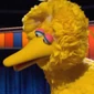 BigBird-TheNot-Too-Late ShowwithElmo