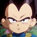 Vegeta-DBD