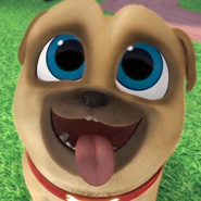 Rolly en Puppy Dog Pals uno de sus personajes más conocidos.