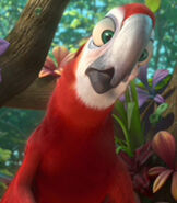 Felipe en Rio 2.