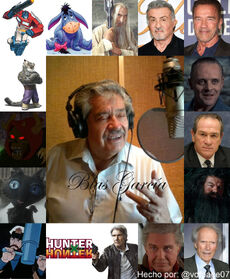B.García.Collage