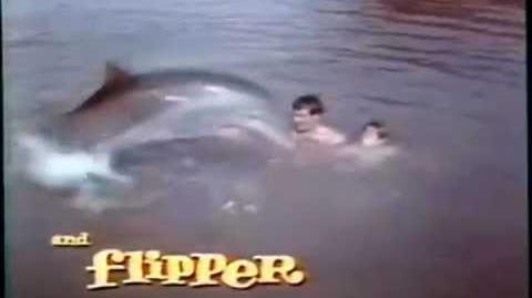 MI_AMIGO_FLIPPER_-_SERIE_DE_TV_(_INTRO_ESPAÑOL_LATINO_)