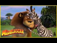 DreamWorks Madagascar en Español Latino - Volverse loco - Dibujos animados para niños