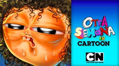 Gatitos adorables Otra Semana En Cartoon S02 EP01 Cartoon Network MEXICO