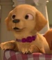 Honey-barbie-and-her-sisters-in-the-great-puppy-adventure-8.29