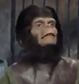 Lucio en El planeta de los simios (1968).