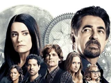 Mentes criminales
