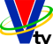 VTV-Honduras-logo-actual