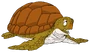 Turtle render.png (309 kB) Tortuga de mar (2ª voz) en Dragon Ball Z.