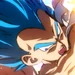 Vegeta4-DBSB
