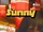 Sunny (2024)