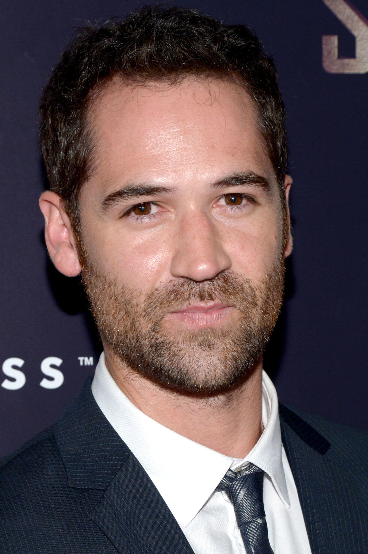 Manuel Garcia-Rulfo | Doblaje Wiki | Fandom