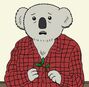 Doug, El hombre koala en Ugly Americans.