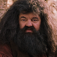 Rubeus Hagrid en Harry Potter y la piedra filosofal.