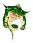 Porunga4.png (186 kB) Porunga en Dragon Ball Z Kai y en Dragon Ball Z Kai: Los capítulos finales.